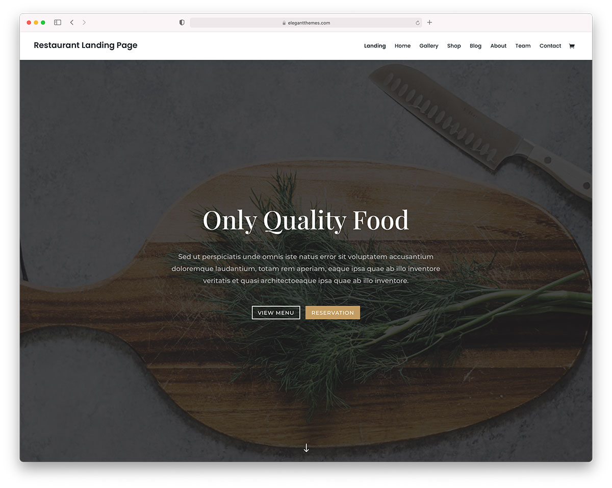 tema de entrega de comida - divi