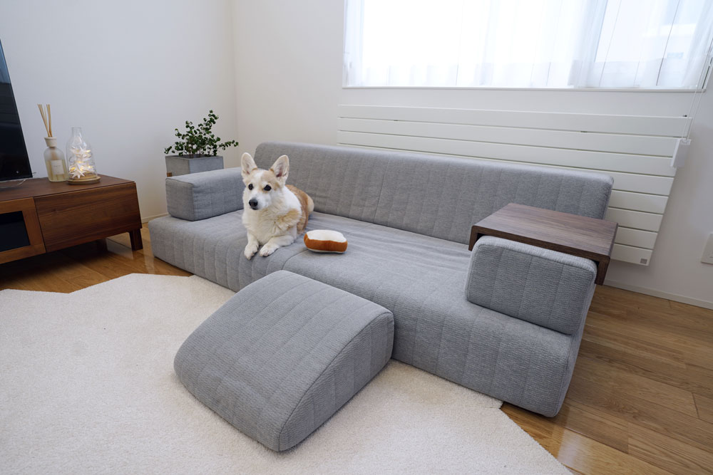座る人編 ソファのサイズの選び方 愛犬との暮らしに｜ローソファ専門店HAREM