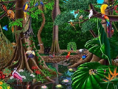 Resultado de imagen para bosque tropical fauna y flora