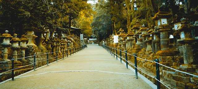 Kasuga Taisha  places to visit in Japan