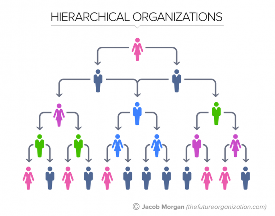 Image result for hierarchical structure