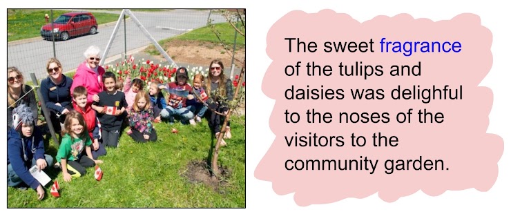 https://www.saltwire.com/atlantic-canada/news/provincial/community-garden-in-cornwallis-celebrates-canada-150-with-tulips-39912/