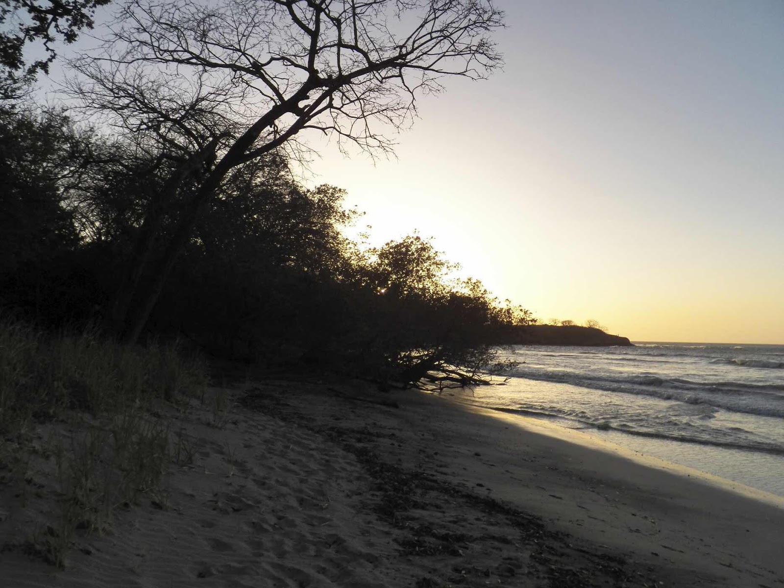 Beach at Capitan Suizo