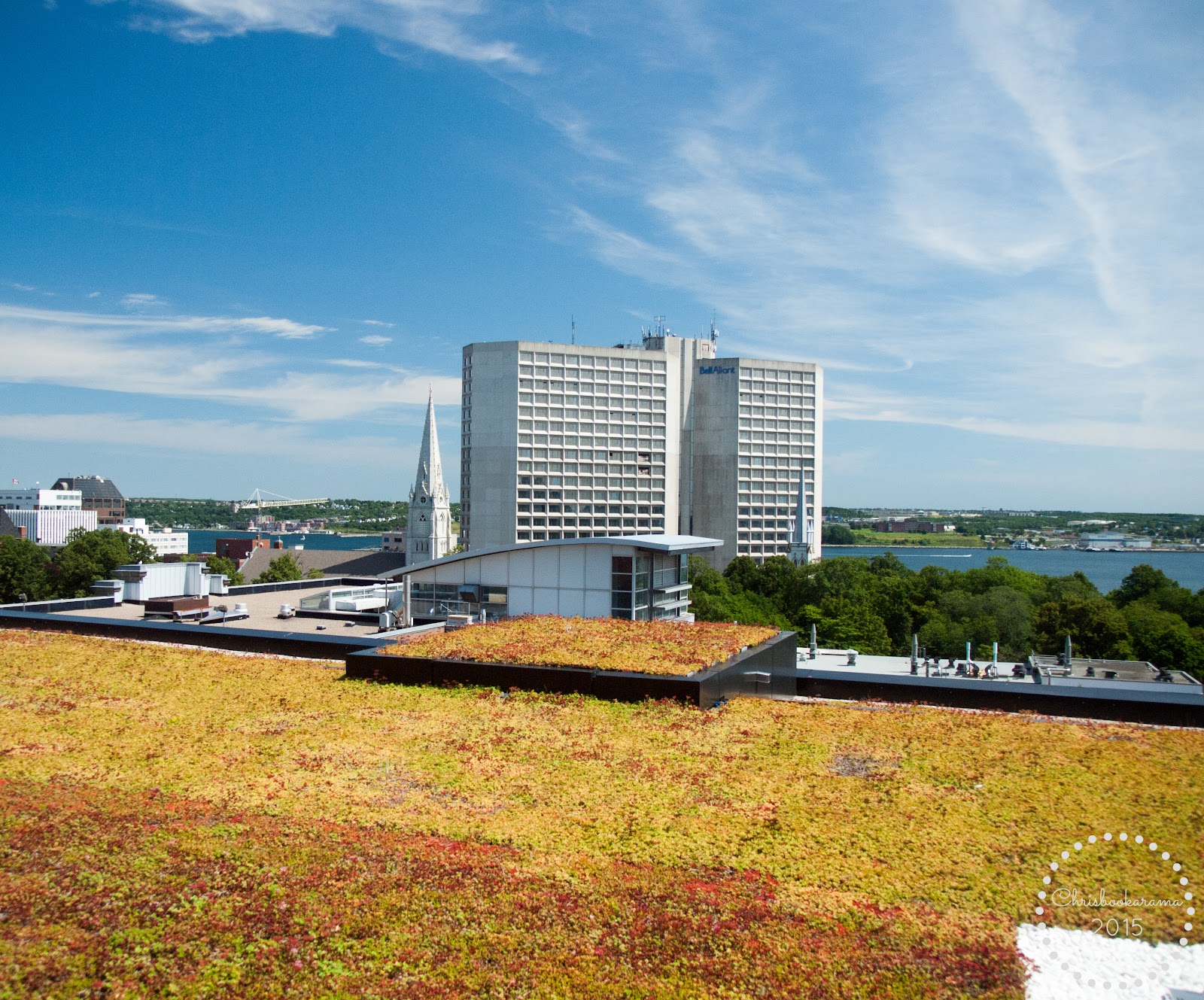 rooftop terrace.jpg