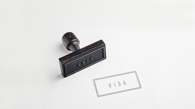 tourist visa uk type