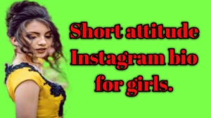 short attitude instagram bio for girls