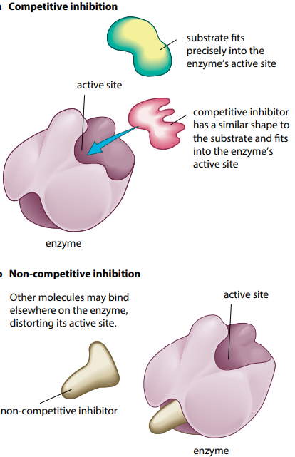 Diagram

Description automatically generated