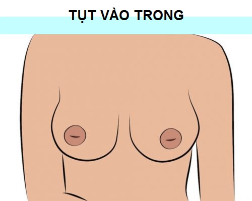 vicare.vn-nhu-hoa-cua-ban-thuoc-loai-nao-body-2