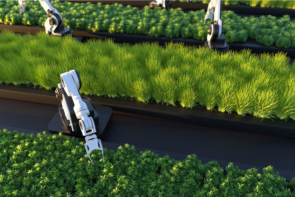 IoT Applications in Agriculture