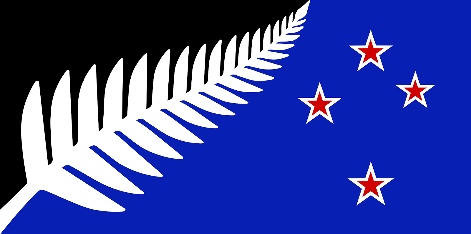 The silver fern flag of the