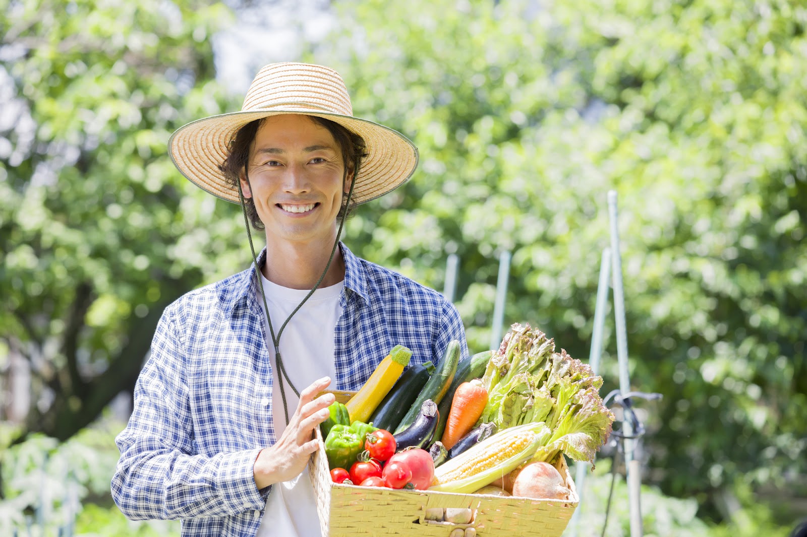 【農家のネット販売】野菜をネット販売するときにおすすめの方法・サイトを紹介します