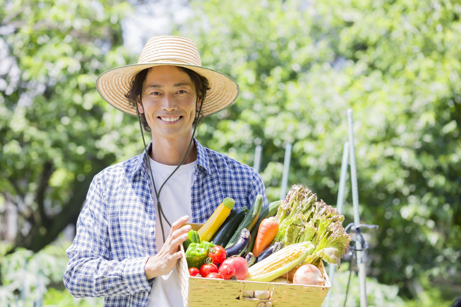 農家のネット販売 野菜をネット販売するときにおすすめの方法 サイトを紹介します 第一包装資材