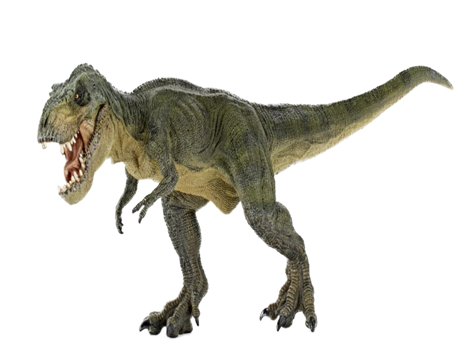 http://img01.deviantart.net/8e73/i/2013/298/3/1/t_rex_png_stock_by_lavitadistress-d6rtqi6.png