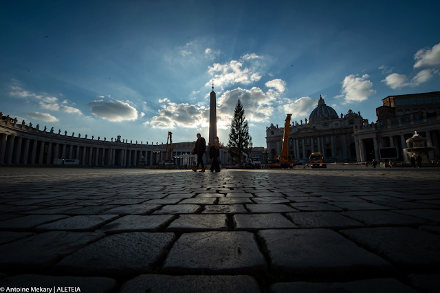 Loạt ảnh: Cây thông Giáng sinh đến Vatican