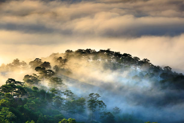 anh hoa da lat