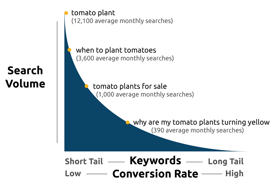 keywords conversion rates short and long tail