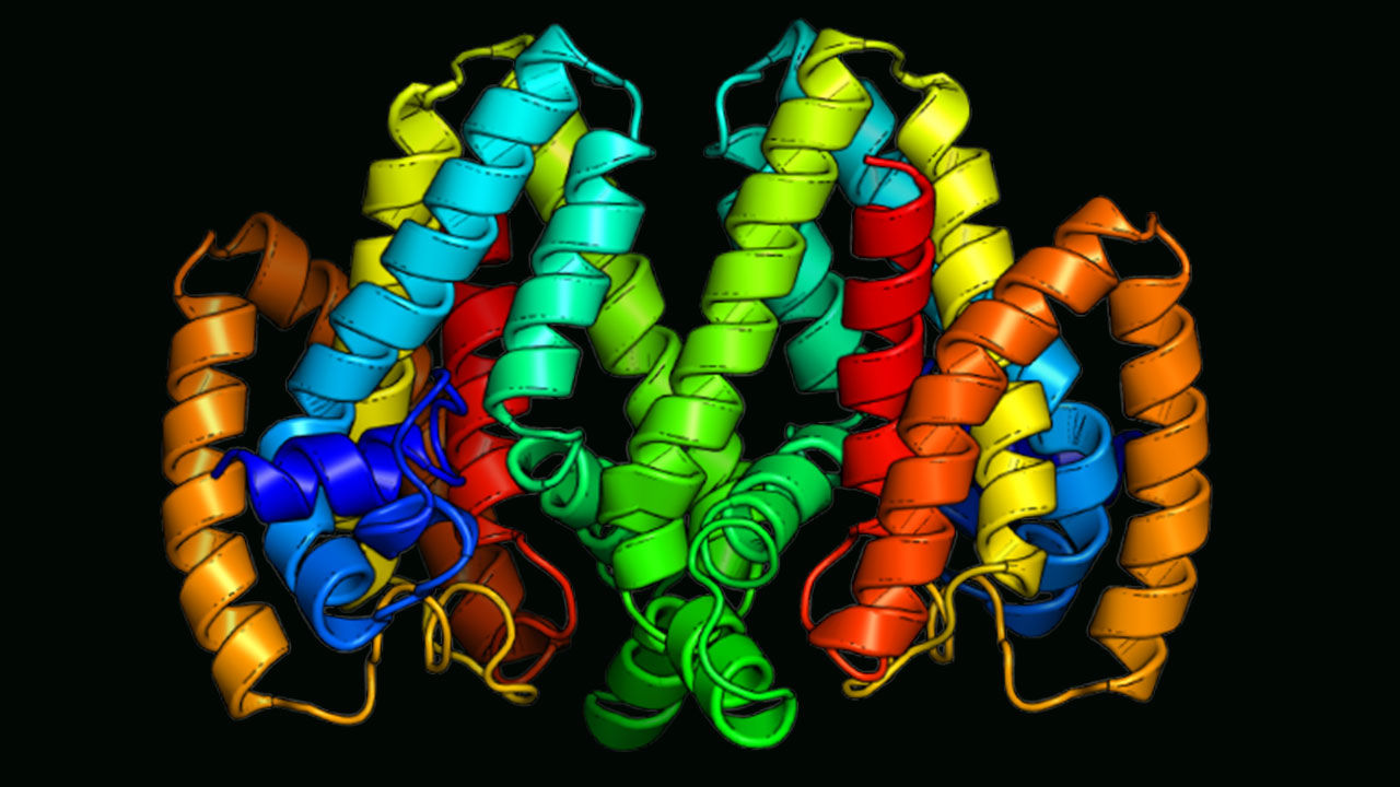 This is how Google owned Lab cracks Protein folding problem that stumped biologists for 50 years 1