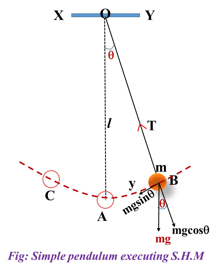 Simple Harmonic Motion (SHM) Notes | Class 12