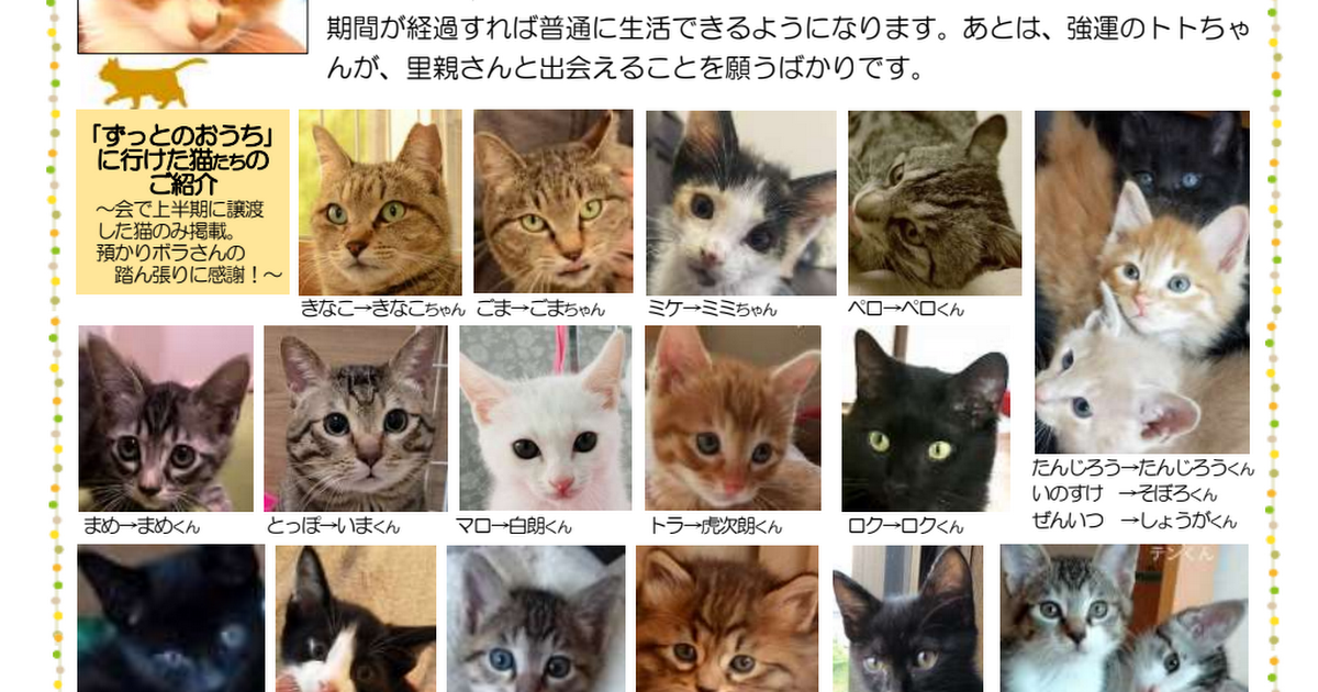 ねこ友会通信 ねこ友会