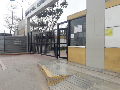 Hospital Hermilio Valdizan