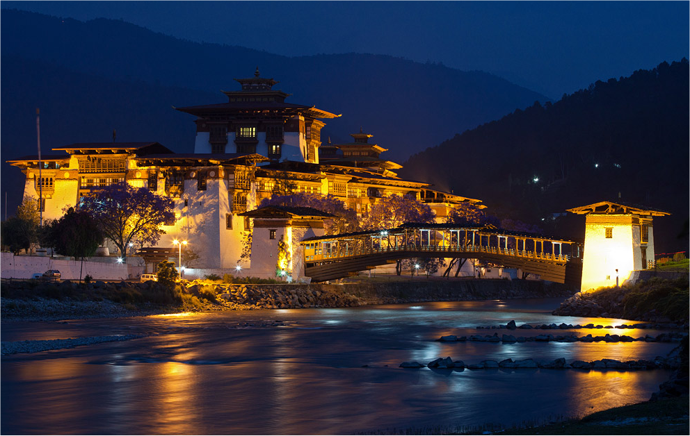 Punakha Dzong.png