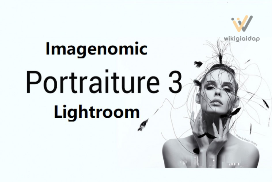 Giới thiệu về Plug-in Imagenomic Portraiture 3