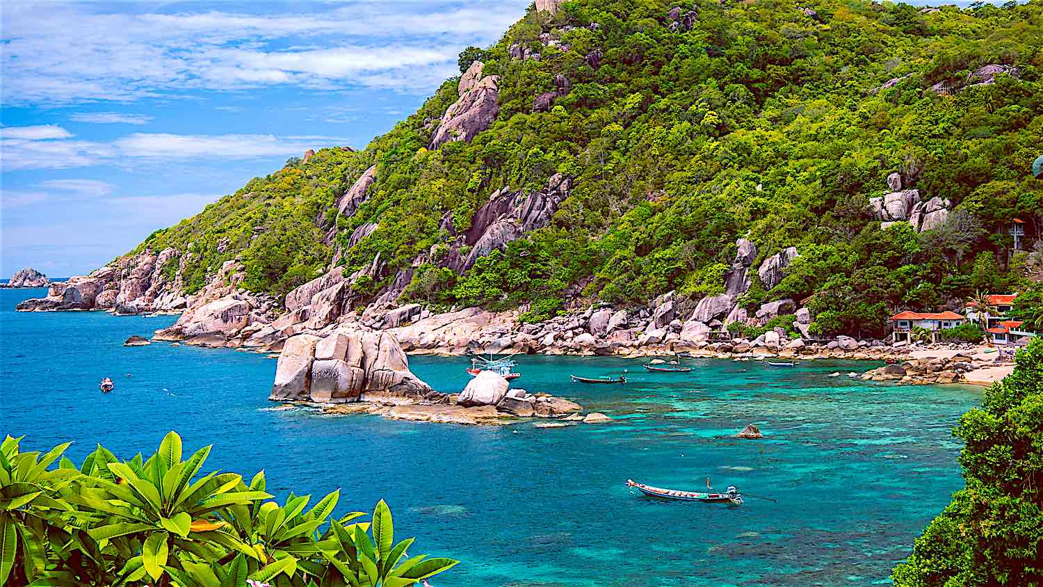 The best sites for Snorkeling in Koh Tao Thailand