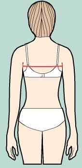 Stand with your arms relaxed at your sides. The measurement is taken horizontally between shoulder blades, from and to the point where your arm meets your body (but not to armpit) about 4" (10 cm) from neck downwards.