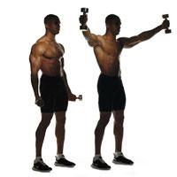 The Standing Butterfly (Scaption) The Standing Butterfly (Scaption)
