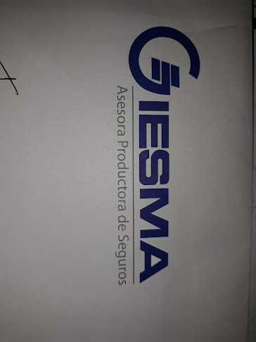 Opiniones de GIESMA en Guayaquil - Agencia de seguros