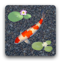 aniPet Koi Live Wallpaper apk