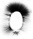 03a