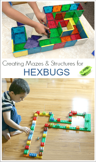 Buggy and Buddy Demonstrate Numerous Enjoyable Methods for Creating Hexbug Mazes