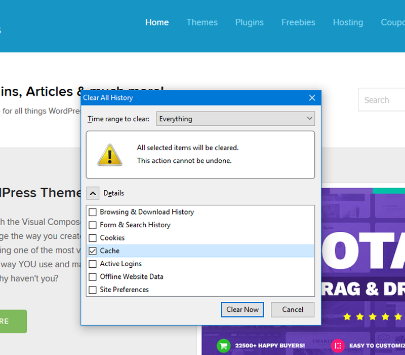como limpar o cache do WordPress firefox parte 3