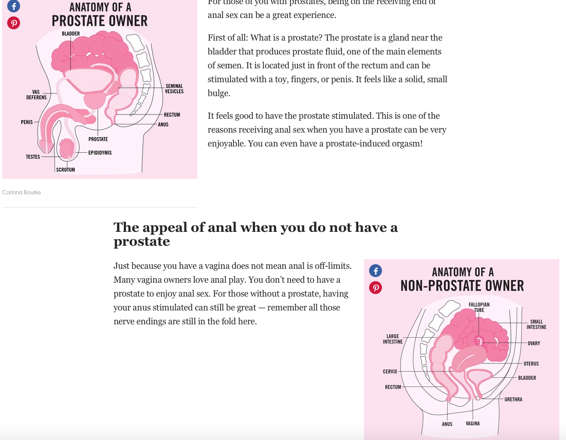 Male Female Anatomy.png