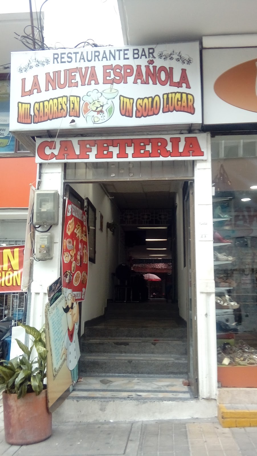 La nueva española