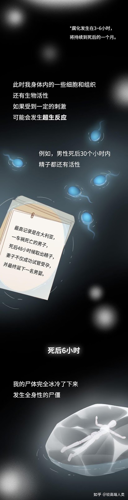 图片[6]-Quá trình phân huỷ của tử thi xảy ra như thế nào? ( Phần 1/2 )-Weibo24h.com