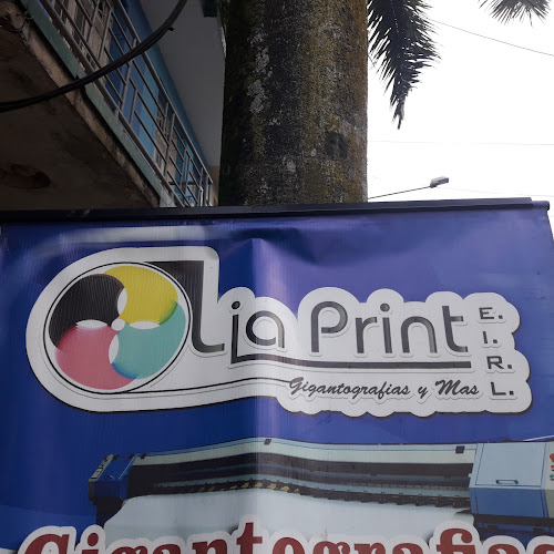 Opiniones de Lia Print en Iquitos - Diseñador gráfico
