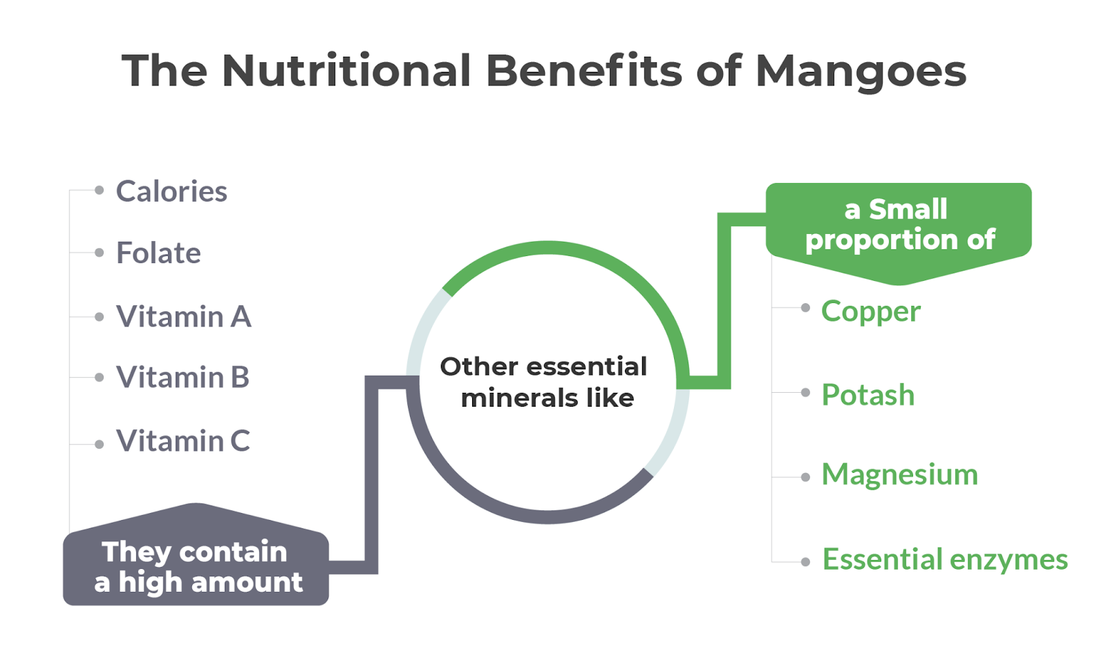 The Nutritional Benefits of Mangoes - Shop Mangoes at Ansio Fresh Online Store
