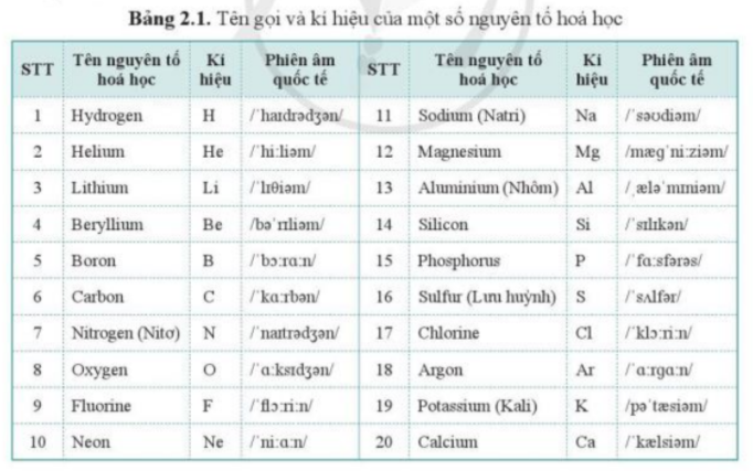 Câu hỏi trang 16 SGK TN&XH 7 CD tập 1