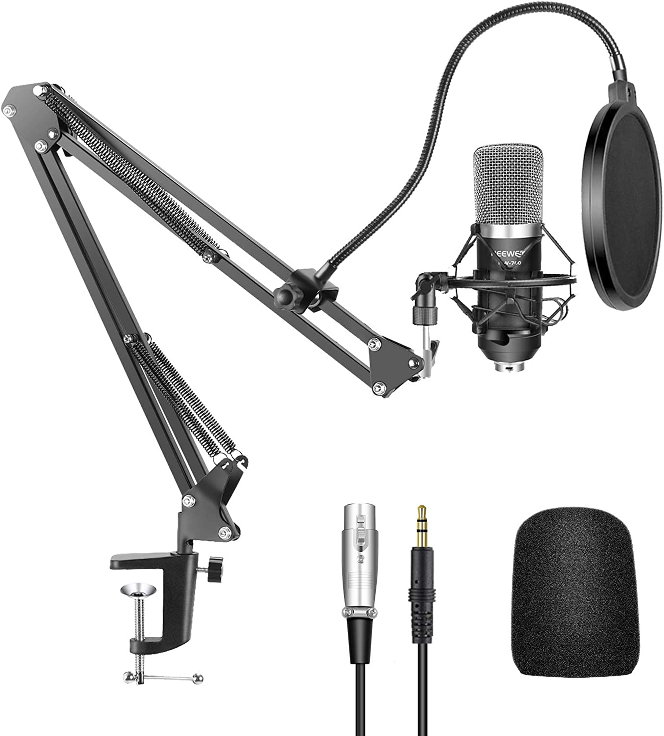 The Best Microphones for Singing