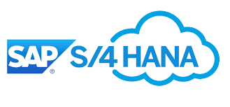 SAP S/4 HANA