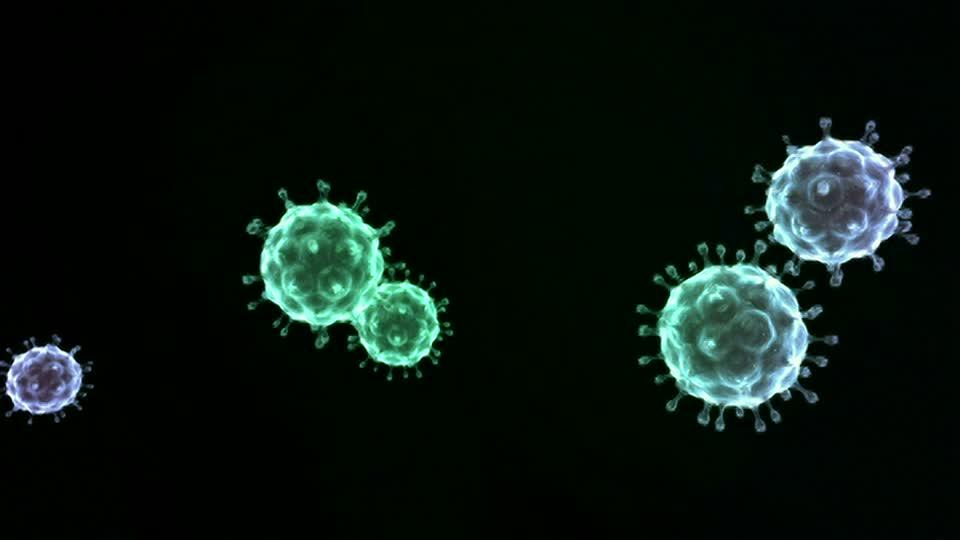 http://footage.framepool.com/shotimg/qf/423299336-transmembrane-glycoprotein-lipid-membrane-hiv-structure-retrovirus.jpg