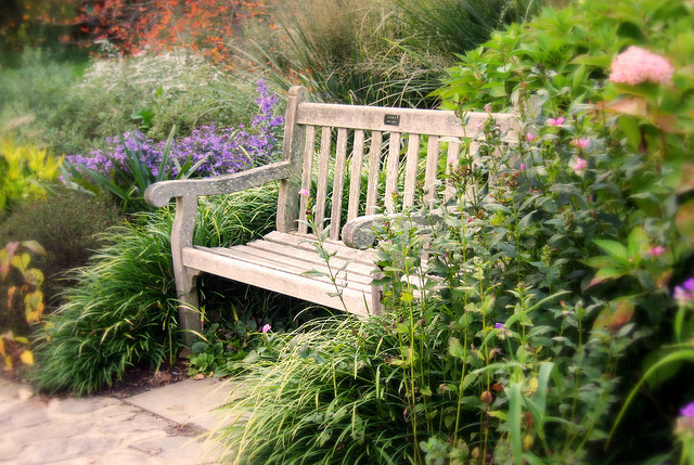 Скамейка в летнем саду