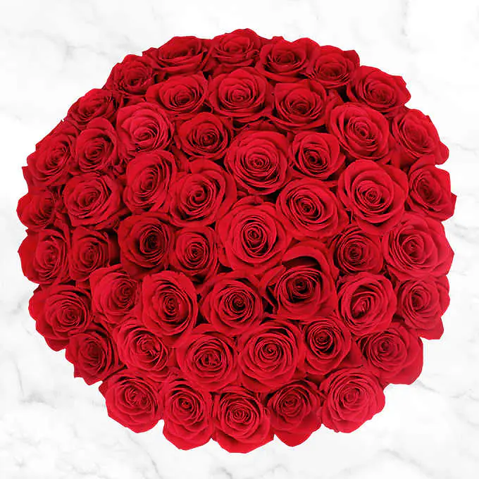 image of 50 roses from costco