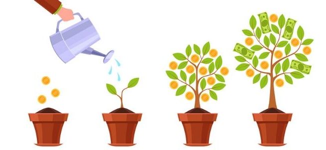 Representation of growing business - money plant being watered