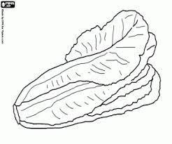 Lechuga para colorear, pintar e imprimir