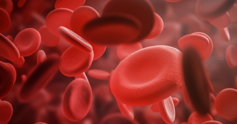 Tìm hiểu về 4 nhóm máu hiếm nhất thế giới (2)