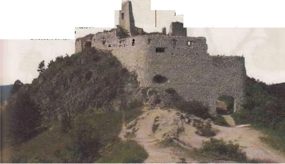 .ile birlikte/