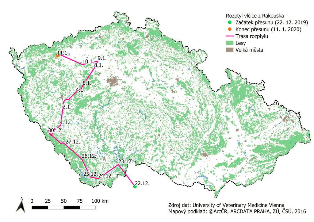 The route of a young female wolf from Austria to the Doupov Mountains